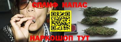 МДПВ Заволжье