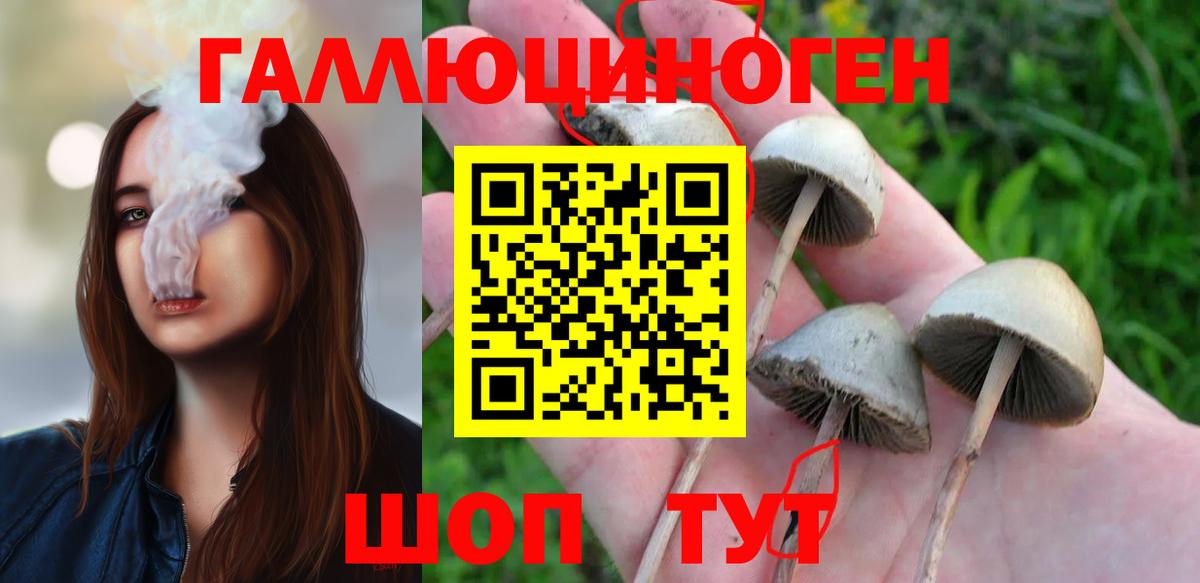 Псилоцибиновые грибы GOLDEN TEACHER  Вход с VPN  Лесосибирск 